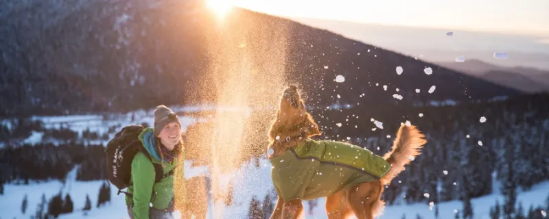 Köpguide: Så väljer du rätt hundjacka