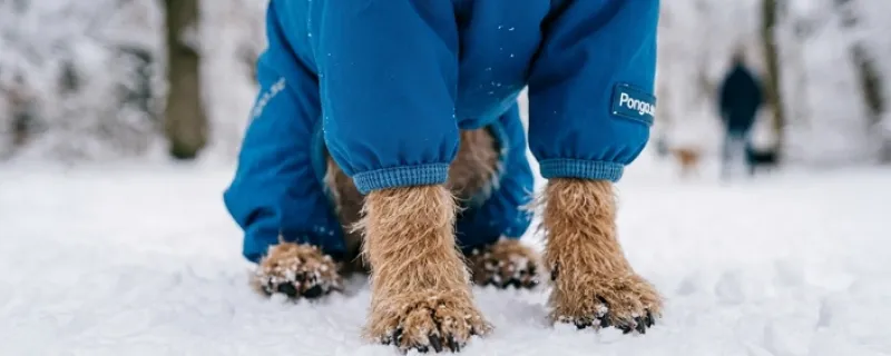 Guide: De vanligaste behoven och vilka modeller som passar