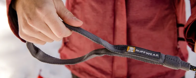 Köpguide: Så väljer du rätt hundkoppel