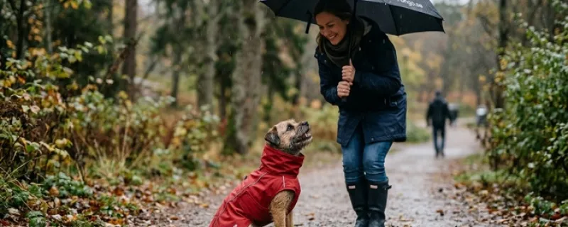 Regnkläder för hund
