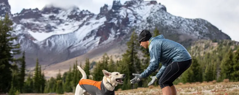 Så väljer du rätt hundkläder