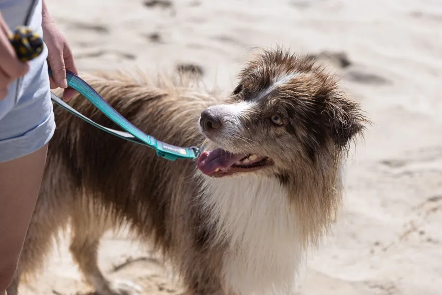 De vanligaste behoven och vilka modeller som passar