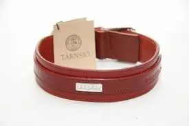 Hundhalsband, Dog Artist Lucky Collar