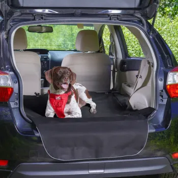 Kurgo Cargo Cape bagagerumsskydd Grafit