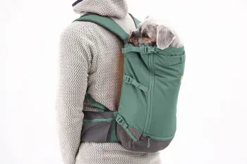 Ruffwear Hitch Hiker™ Hundbärryggsäck