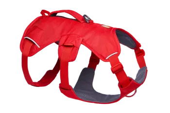 Ruffwear Web Master™ Harness – Stabil och stödjande Sele för stora och aktiva hundar