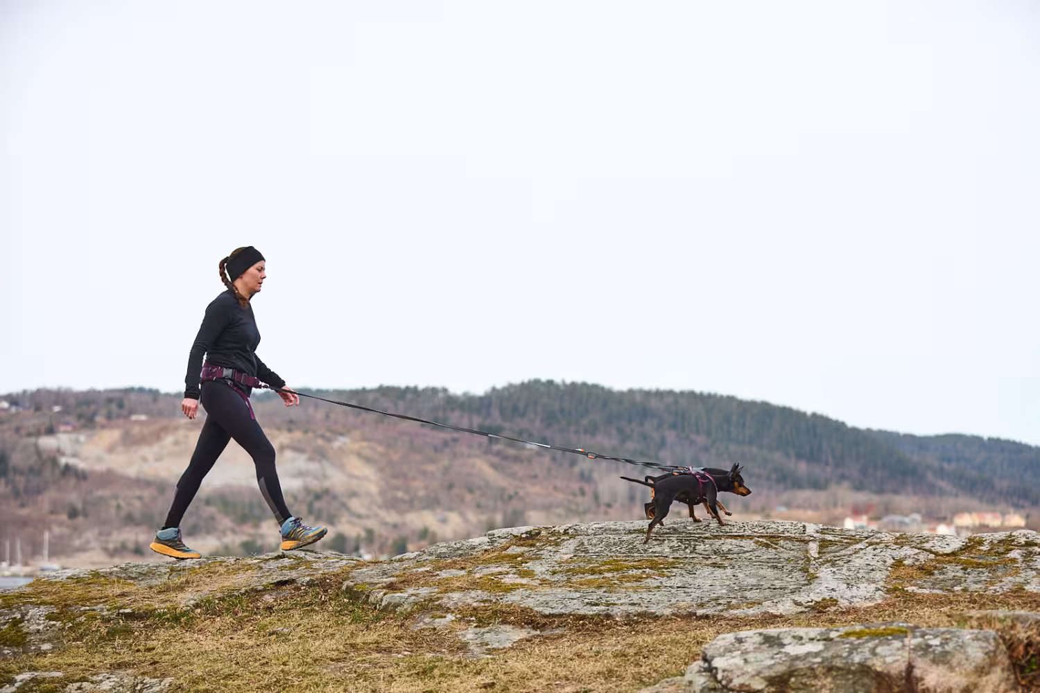 Handsfree-bälte för hundpromenaden – Trekking belt 2.0