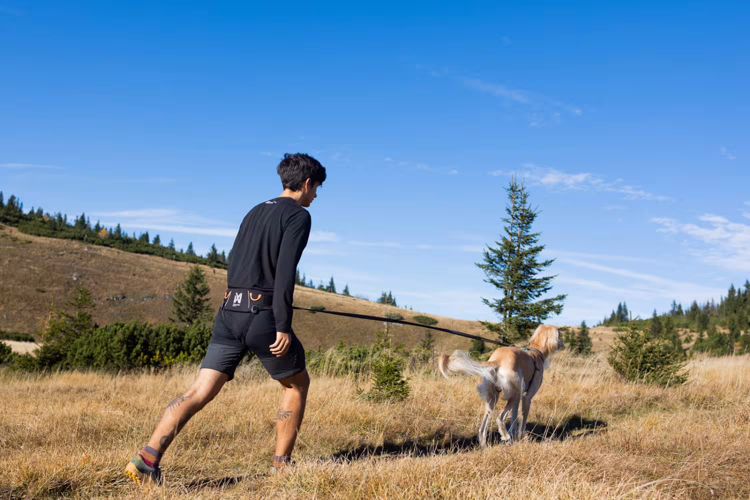 Handsfree-bälte för hundpromenaden – Trekking belt 2.0