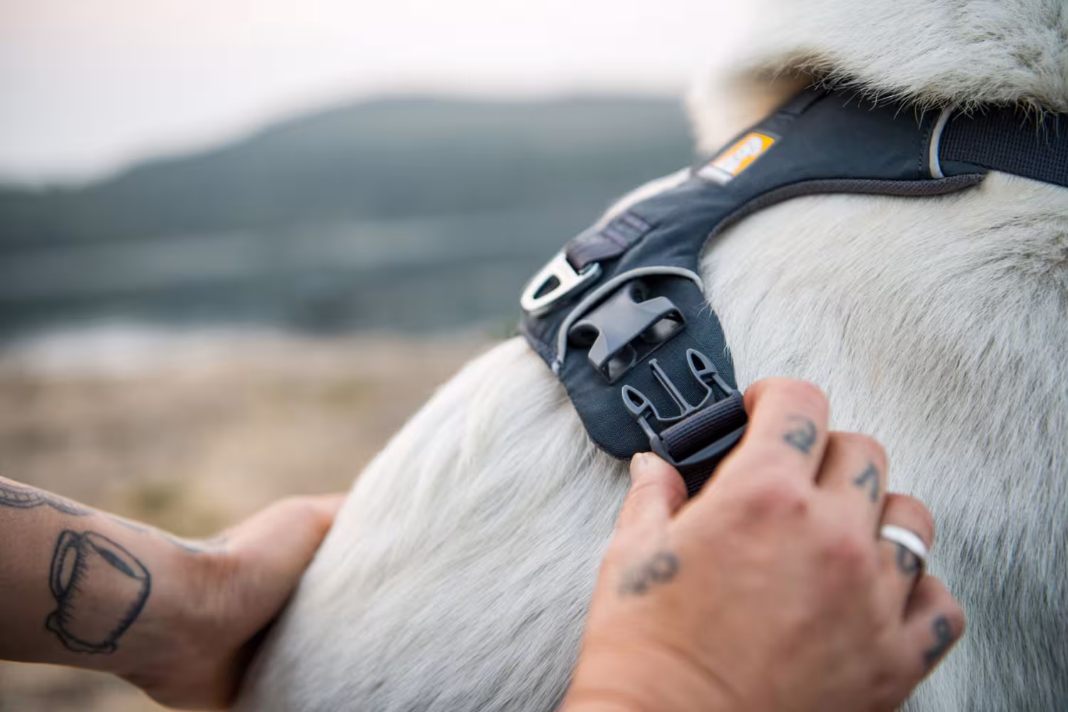 Hundsele, Front Range Harness