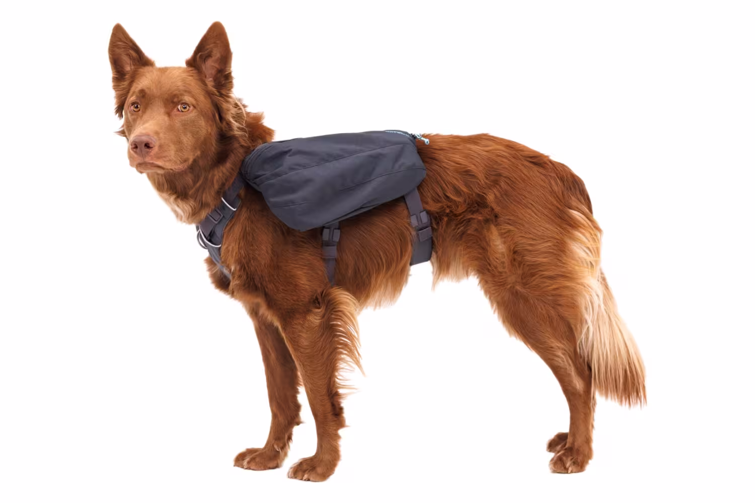 Klövjeväska, Ruffwear Front Range Day Pack, Basalt Gray