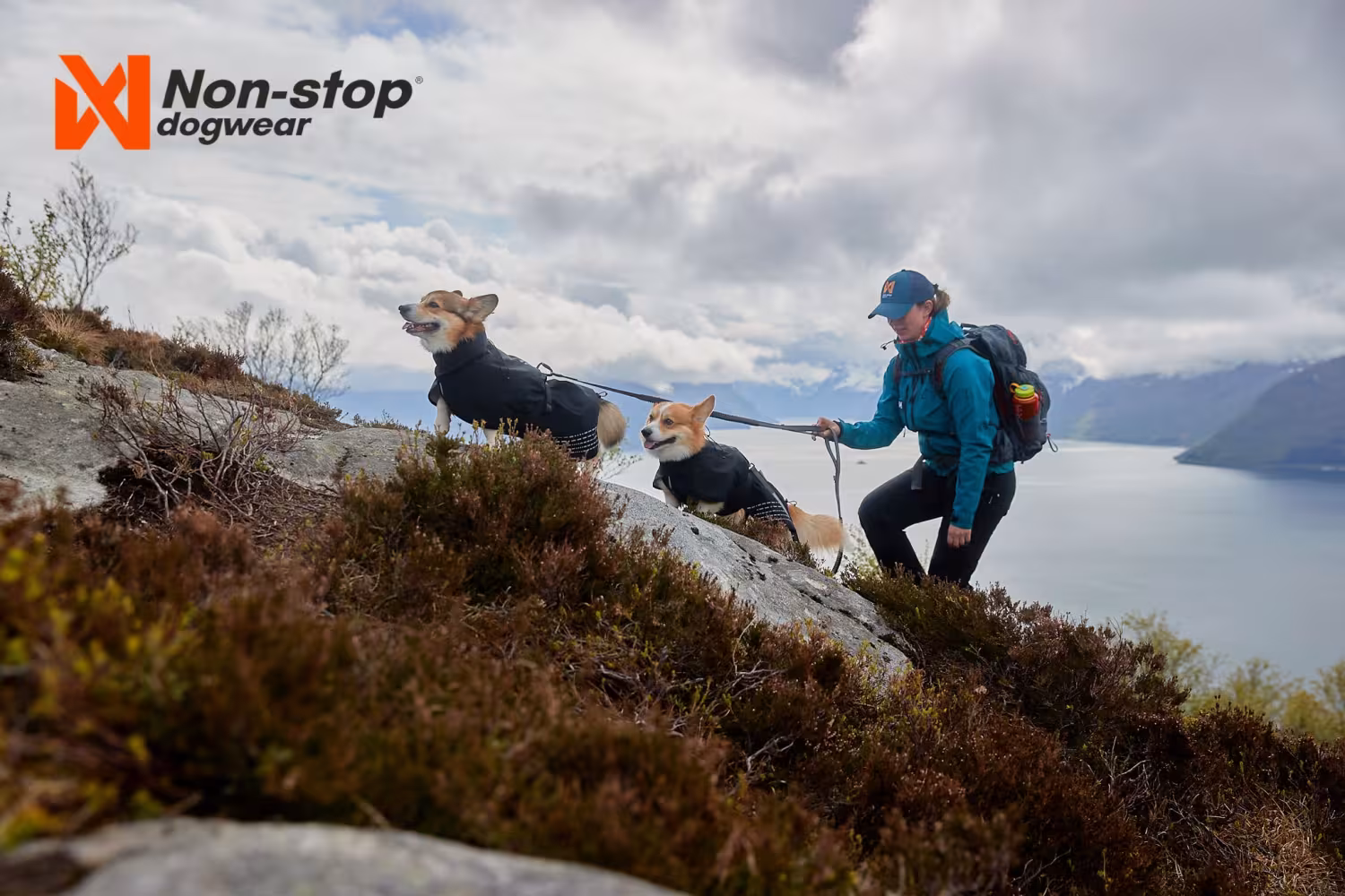 Non-Stop Dogwear, Fjord raincoat, Regntäcke