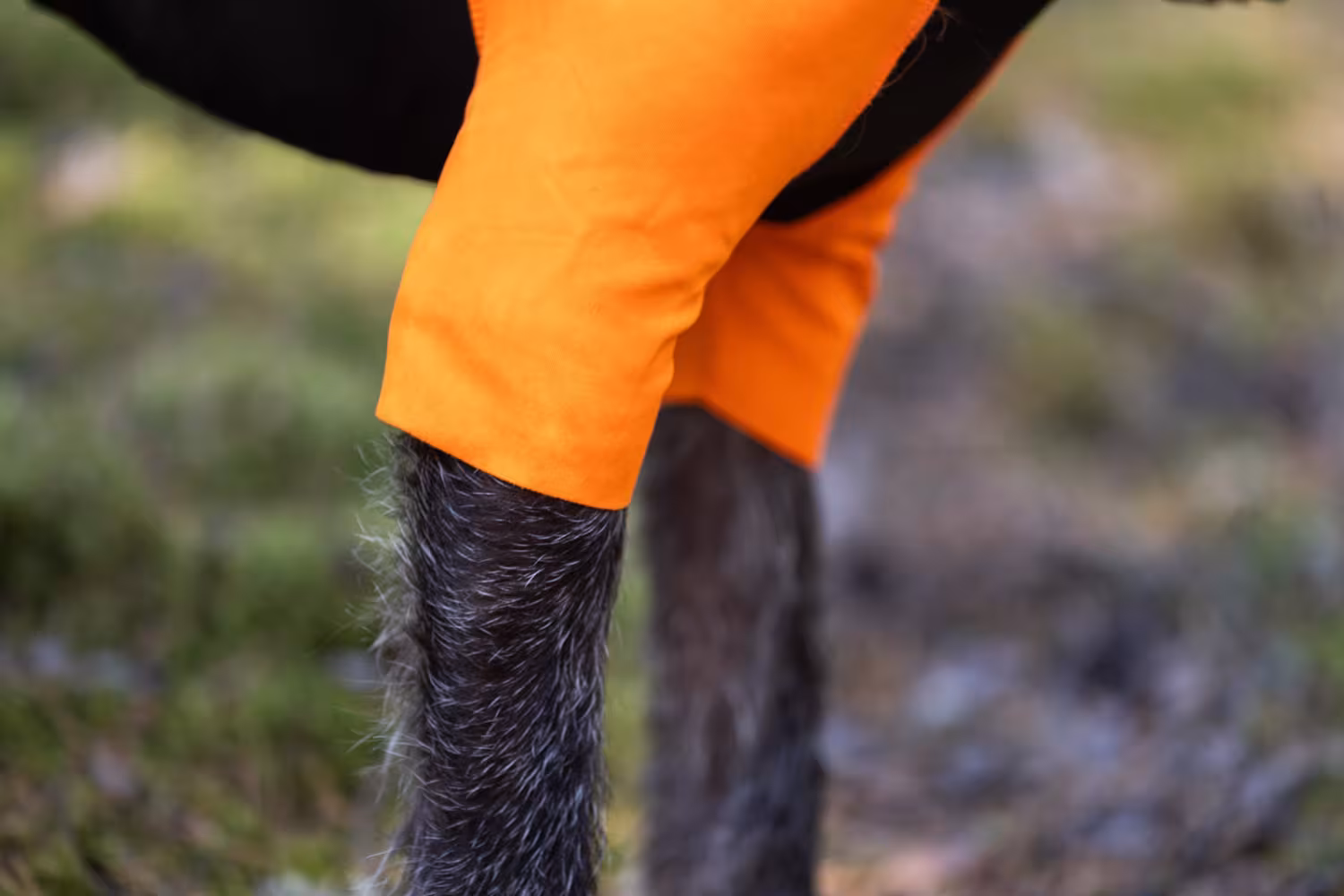 Non-stop Dogwear Protector half suit, orange