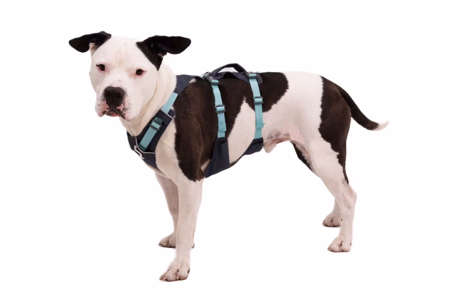 Ruffwear Flagline Harness, innovativ hundsele