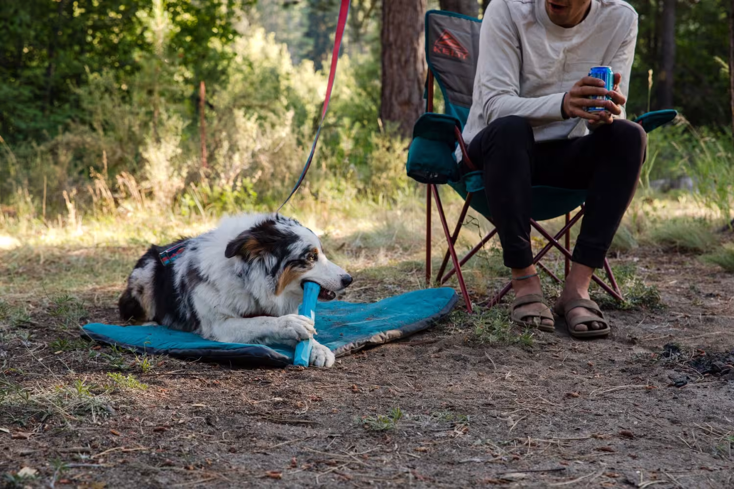 Ruffwear Gnawt-a-Stick - Apport leksak