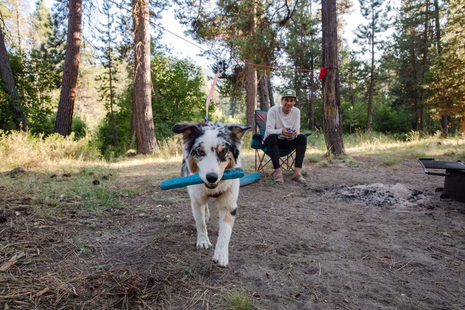 Ruffwear Gnawt-a-Stick - Apport leksak