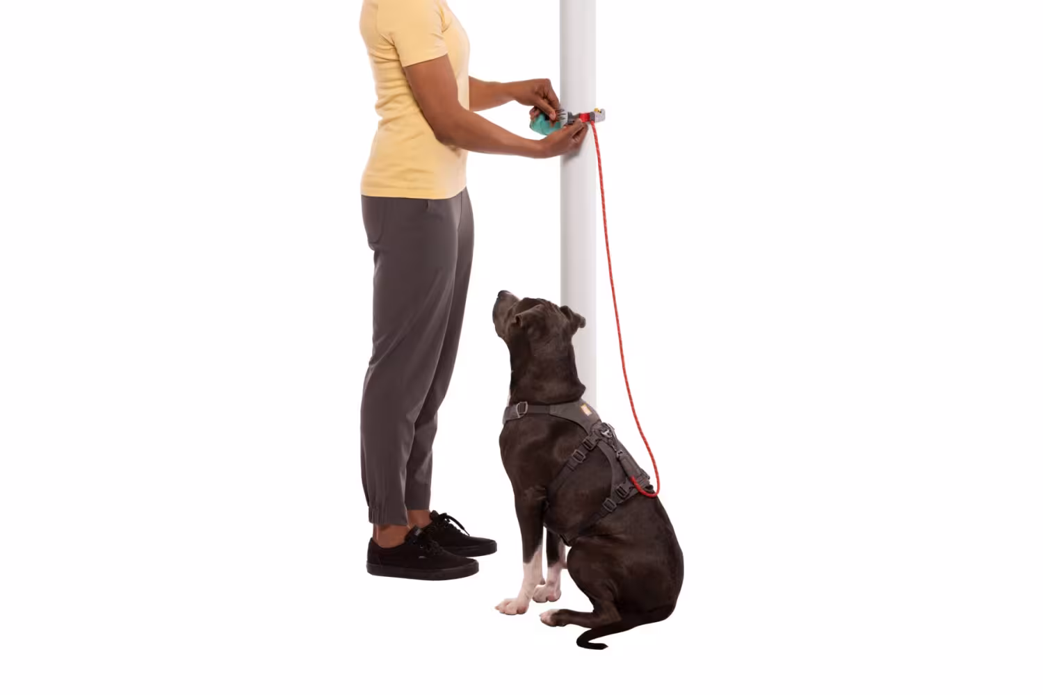 Ruffwear Hitch Hiker™ klätterinspirerat koppel med justerbar längd