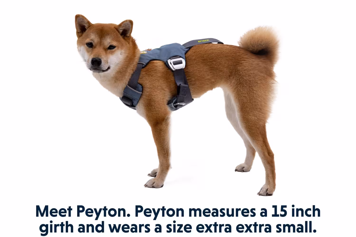 Ruffwear Load Up Harness Bilsele