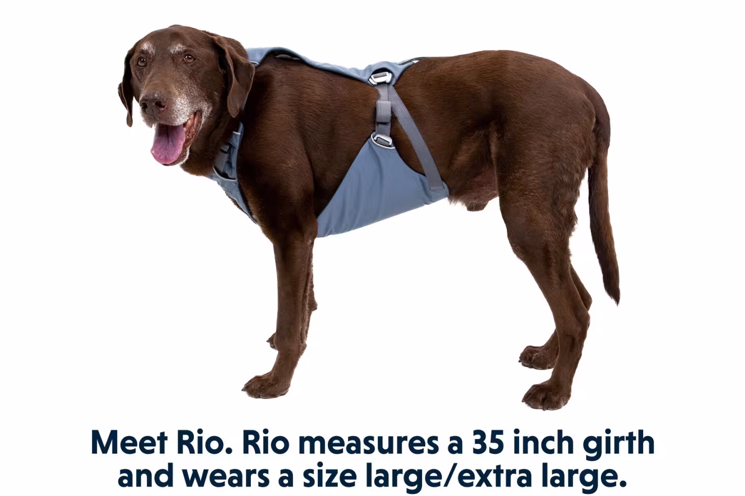 Ruffwear Load Up Harness Bilsele