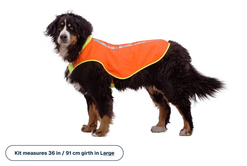 Ruffwear Lumenglow High-Vis Vest
