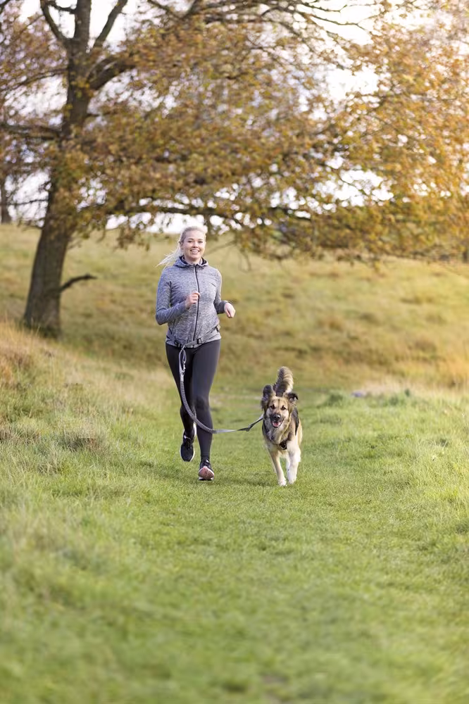 Trixie HandsFreebälte med expander M/L – Löparkoppel med neoprenvaddering och reflexer, midja 70–130 cm