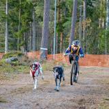 Bungee Leash Double från Non-Stop Dogwear