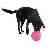 BUSTER Food Cube - Aktivitets kub för din hund i flera färger