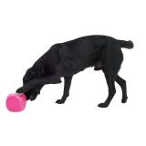 BUSTER Food Cube - Aktivitets kub för din hund i flera färger