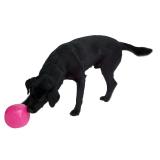 BUSTER Food Cube - Aktivitets kub för din hund i flera färger