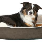 Cosma hundbädd , Brun/Begie i fler olika storlekar