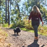 Handsfree-bälte för hundpromenaden – Trekking belt 2.0