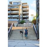 Handsfree-bälte för hundpromenaden – Trekking belt 2.0