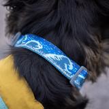 Hundhalsband Crag Collar