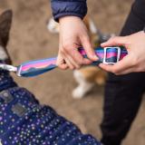 Hundkoppel, Crag Leash från Ruffwear, Justerbart och flexibelt i fantastiska mönster