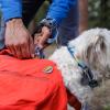 Hundkoppel, Crag Leash från Ruffwear, reflekterande i fantastiska mönster