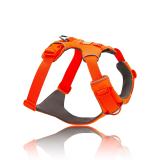 Hundsele, Front Range Harness