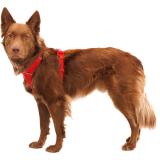 Hundsele, Front Range Harness