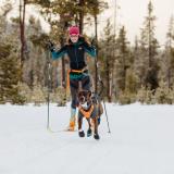 Hundskor Ruffwear Polar Trex dog Boots