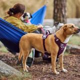 Hurtta Weekend Warrior Sele II ECO – Maximal komfort & kontroll