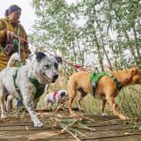 Hurtta Weekend Warrior Sele II ECO – Maximal komfort & kontroll