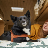 Miljövänlig och vadderad vardagssele – Hurtta Casual Y-sele ECO