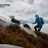 Non-Stop Dogwear, Fjord raincoat, Regntäcke