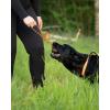 Non-stop Dogwear Dog ball on rope, Orange/black