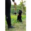 Non-stop Dogwear Dog ball on rope, Orange/black