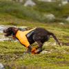 Non-stop Dogwear Protector half suit, orange