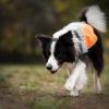 Non-stop Dogwear Reflection blanket, orange