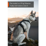 Nonstopdogwear Line harness 5.0 - Bekväm Y-Sele