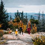 Reflexjacka - Lumenglow Hi-Viz Jacket Blaze Orange