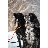 Retrieverkoppel för jakt och träning – Non-stop Dogwear Retriever Leash