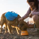 Ruffwear Bivy Bowl, Salamander Orange