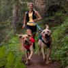 Ruffwear Double Track™ Coupler – Premium splitterkoppel med stretch för två hundar
